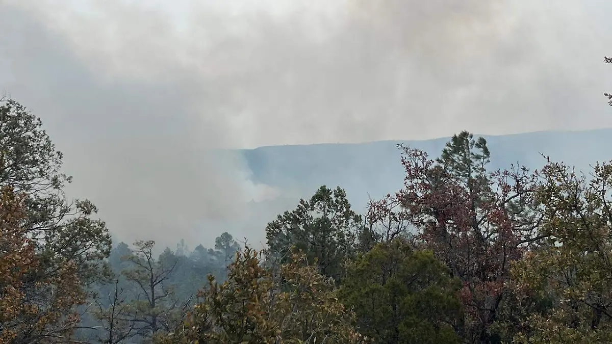 incendios forestales conafor4